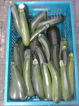 veel courgettes